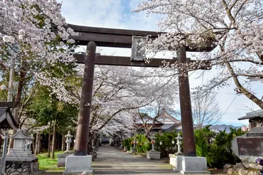 富士御室浅間神社の桜【富士河口湖町】