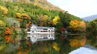 宇奈岐日女神社 | 湯布院の守護神、水の神様の歴史と魅力とは？湯布院の歴史を紐解く、宇奈岐日女神社の魅力