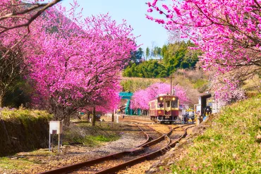 わたらせ渓谷鐡道"神戸駅(ごうどえき)"