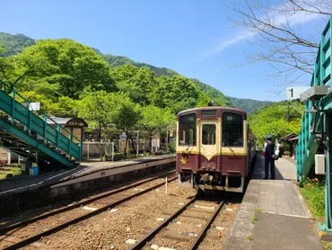 群馬県 わたらせ渓谷鐡道(わ鐵)桐生~足尾を往復 トロッコわっしー号