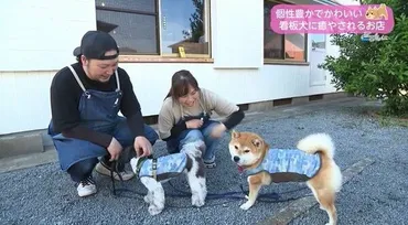 店長が看板犬!?個性+可愛さを兼ねそろえた看板犬に癒される! 想いが詰まったこだわり溢れる空間