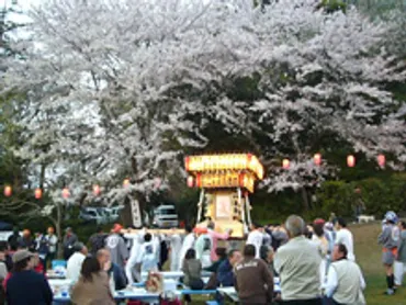 真鶴しだれ桜の宴