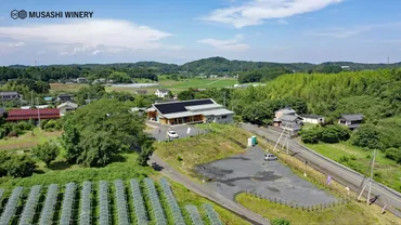【MUSASHI WINERY】試飲可!ワイナリー見学ツアー