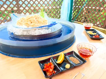 越後湯沢【新潟県南魚沼市】流しそうめん体験♪専用マシンで楽しく食べ放題♪/湯沢terrace