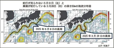 黒潮大蛇行終息？漁業と地域経済への影響とは？(疑問形？)黒潮大蛇行の終息と漁業への影響