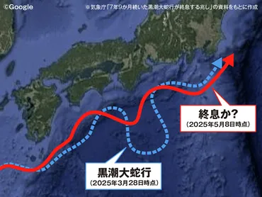 黒潮大蛇行 終息?スルメイカが消えた!海の異変と日本の食卓への影響とは