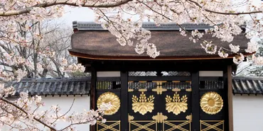 京都】豊臣秀吉も愛した桜の名所、世界文化遺産・醍醐寺は自然美と建築美の宝庫!