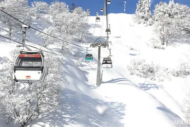 新潟のおすすめスキー場2選の徹底調査:冬の雪遊びから夏のアクティビティまで魅力たっぷり!