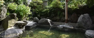 中塩原温泉 松の井荘 栃木県(日帰りレポート)