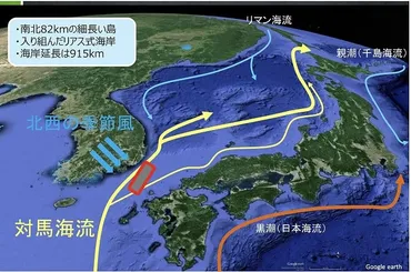 ネクストゴール500万円に挑戦中!!】日本一海洋プラごみが流れ着く島を守りたい!「対馬海ごみアート×NFTプロジェクト」がスタート!