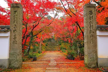 浄住寺 紅葉