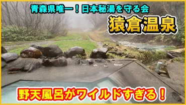 詳細解説ブログ】青森県 元湯♨猿倉温泉 青森県で唯一の日本秘湯を守る会の会員宿