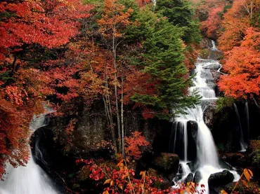 竜頭滝の紅葉(栃木県)