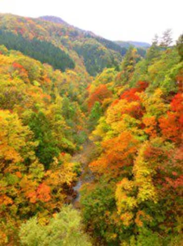 秋の宮温泉郷・仙秋ラインの紅葉(秋田県)