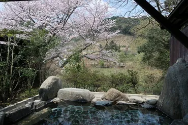 花見露天】なめらかな湯とともに桜を見上げる静かな里の宿。夕食の「さくら」も楽しみ○平山温泉 旅館・家族湯いまむら【熊本】