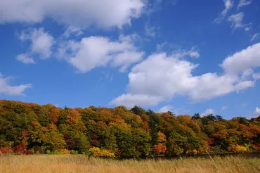 八幡平の紅葉と温泉を満喫！2024年最新情報とおすすめ秘湯は？八幡平 紅葉 ドライブ イベント 温泉 秘湯