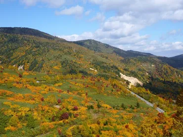 十和田八幡平国立公園 八幡平地域 八幡平アスピーテライン(御在所)の紅葉(岩手県) 