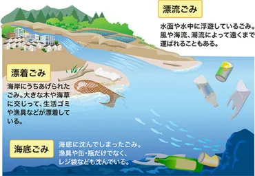 海洋プラスチックごみ