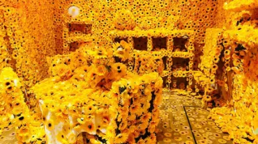草間彌生(Yayoi Kusama)とカボチャのアート：その魅力と世界的な広がりとは？水玉模様とカボチャ：草間彌生のアート