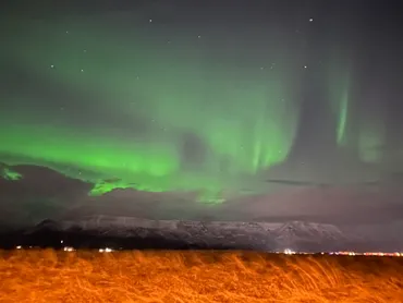 きちたび＞アイスランドの旅2023🇮🇸 忍耐と熱狂のオーロラツアー！私のiPhone14Proで三脚なしのオーロラ撮影に成功 