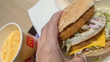 世界のマクドナルド探訪！異文化体験とご当地メニュー：世界のマックは面白い？マクドナルドの世界旅行：各国の個性豊かなメニューと店舗デザイン