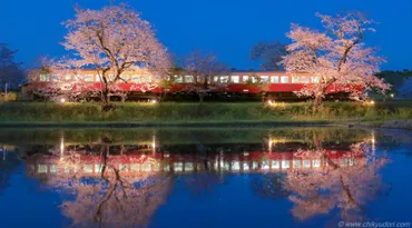 小湊鉄道の飯給駅の桜リフレクションとライトアップ