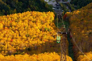 黒岳の紅葉・雲海