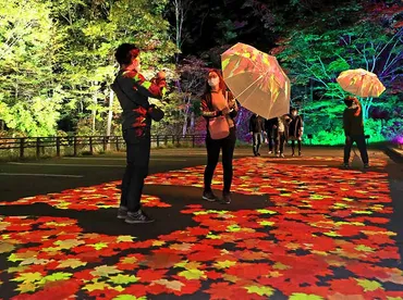 層雲峡に降る光り輝く紅葉*17日まで「奇跡のイルミネート」