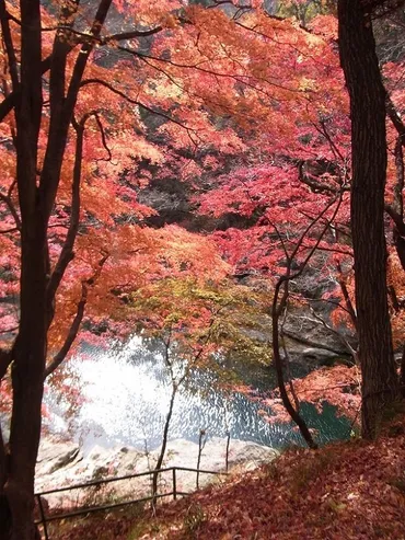 紅葉に彩られる源流の郷・みなかみ町【群馬】