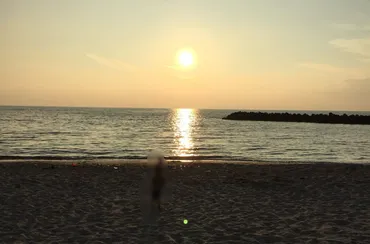 出雲市】海水浴の季節到来!キララビーチに海の家がオープンします!