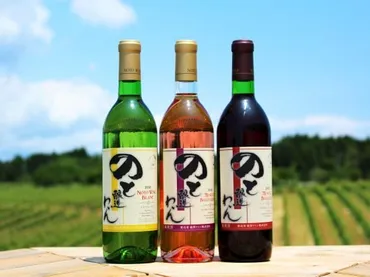 能登ワインと酒蔵巡りってどんなところ？石川県の魅力を徹底解説！能登の恵みを味わう、ワインと日本酒の旅