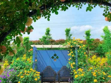 満開の薔薇を満喫。まさかの無料?中之条ガーデンズ。』中之条(群馬県)の旅行記・ブログ by b_bさん【フォートラベル】