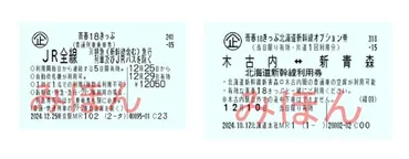 青春18きっぷの改定と、旅の選択肢の変化？2024年の青春18きっぷ改定と、代替策の検討