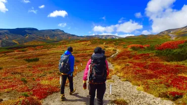 紅葉スポットガイド2024：秋の絶景を求めて、紅葉（北海道、東北、八ヶ岳）を満喫できる？秋の紅葉登山：北海道・東北・八ヶ岳の魅力