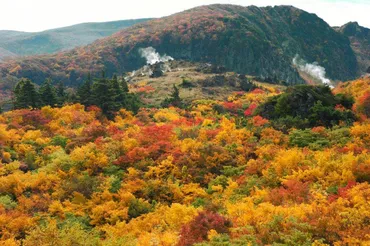 栗駒山(岩手県)の紅葉(岩手県)