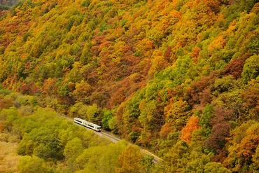 鉄道×紅葉×登山! 鉄道カメラマンがおすすめする紅葉の名路線と登山コース5選