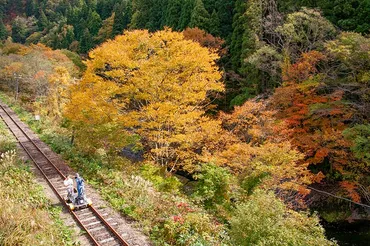 大館・小坂鉄道レールバイクで巡る紅葉絶景！秋田・岩手・静岡・和歌山・徳島の紅葉名所とは？秋の紅葉を乗り物で楽しむ絶景巡り
