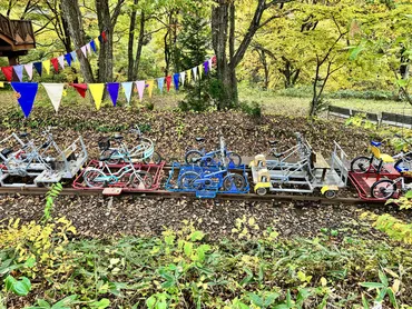 秋田】大館・小坂鉄道レールバイクに乗って爽快サイクリング?