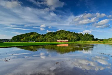 小湊鐵道の魅力とは？写真展や100周年記念イベントを徹底解説！ローカル線の旅情と写真家たちが捉えた風景