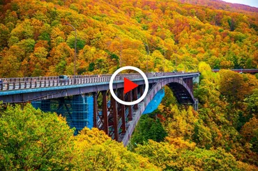 八甲田の紅葉はいつが見頃？ロープウェーからの絶景？混雑回避のコツも解説！青森県八甲田の紅葉を徹底解説！見頃、ロープウェー、混雑回避