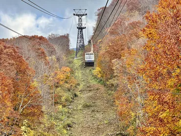 青森】八甲田ロープウェーで紅葉の絶景散歩