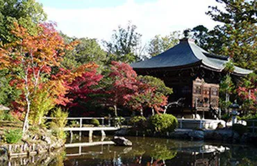 清凉寺(嵯峨釈迦堂)の紅葉(京都府) 