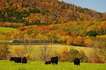 北海道根室本線の絶景を写真家・中井精也氏が捉える！その魅力とは？写真家・中井精也氏が捉える北海道根室本線の風景