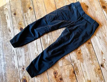 ワークマン】これ1枚で暖かい「1900円の微起毛パンツ」を履いてみた ストレッチ性も抜群だから動きやすい(1/2 ページ)