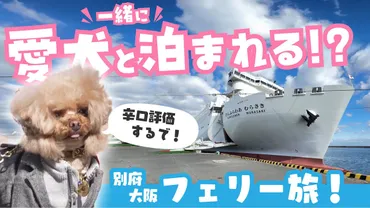 フェリーさんふらわあ 船旅の食事は？船内レストランやバイキングについてご紹介！船旅！ご飯が美味しい！夕食バイキング、定食、テイクアウトメニューも