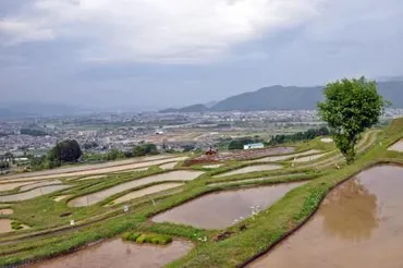 日本三大車窓「姨捨」でスイッチバックと棚田を撮影:中日新聞Web