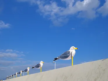 カモメの駐車場（女木島） 