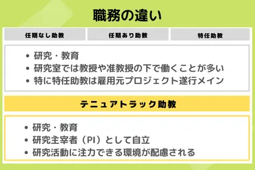 大学教員の雇用形態を理解する】テニュアトラックや特任助教などの相違点を分かりやすく解説