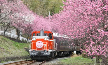 今までで一番の絶景体験」のローカル線も 村井美樹が厳選「五感で春を楽しむ」3路線