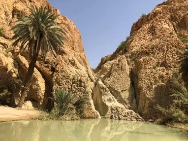 チュニジアの秘境トズールの観光